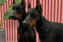 Зоосалон Petland, с рейтингом 4.4 - находится по адресу Москва, улица Паршина, 10 