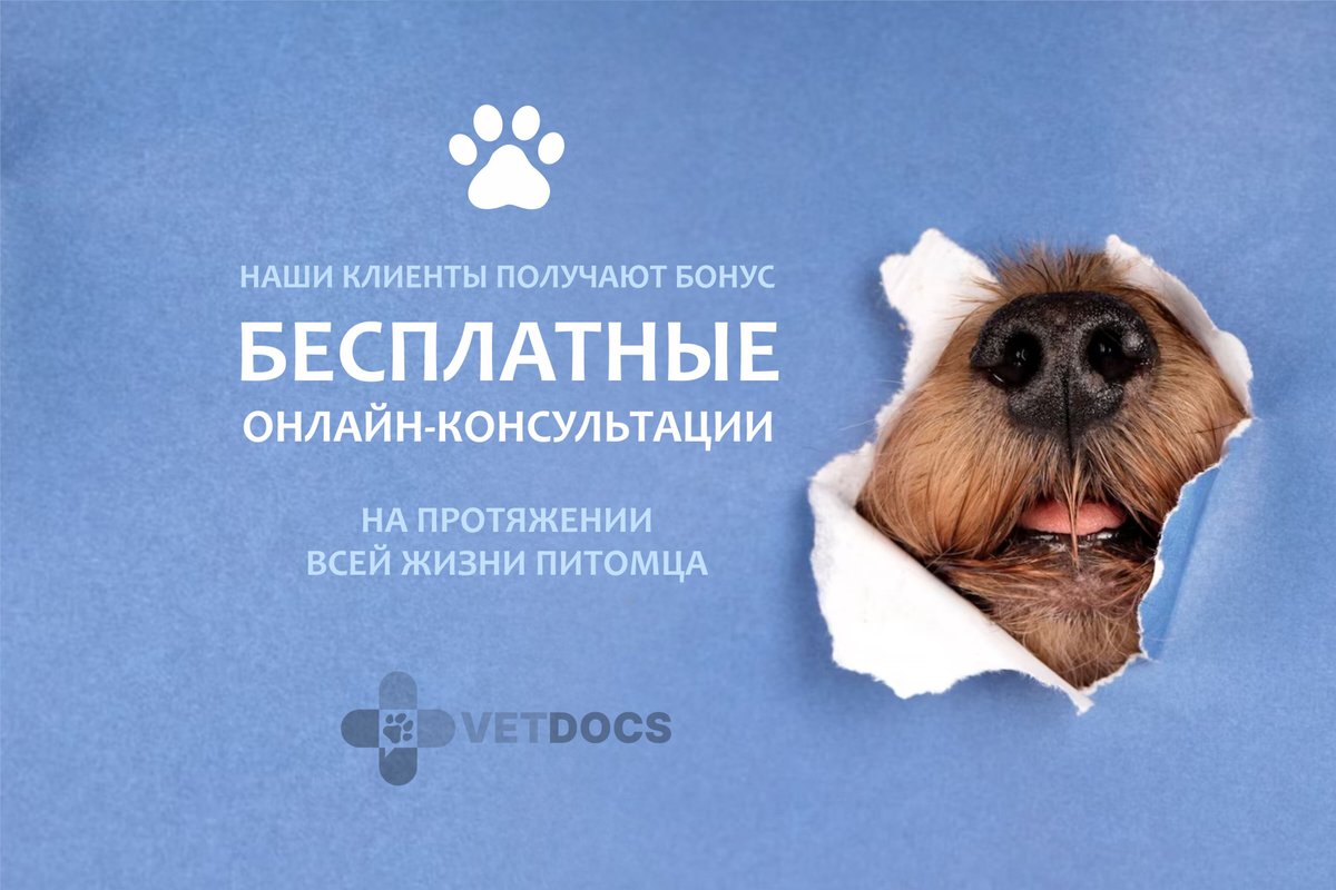 Химки Ветклиника