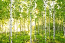 Торгово-строительный центр Тетрис, с рейтингом 2.8 - находится по адресу Великий Новгород, Парковая улица, 24 