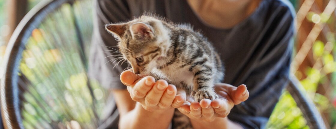 Источник фото: Olezzo / Shutterstock