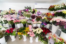 Магазин цветов Твой День, с рейтингом 4.6 - находится по адресу Московская область, Щербинка, Пушкинская улица, 2А 