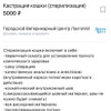 фото от пользователя Венера в отзыве о ветеринарной клинике Лахта в Приморском районе