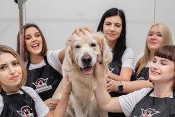 Салон красоты для животных Баловень, с рейтингом 4.2 - находится по адресу Новороссийск, набережная им. Адмирала Серебрякова, 25 