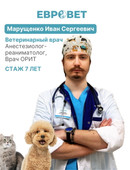 Муращенко Иван Сергеевич