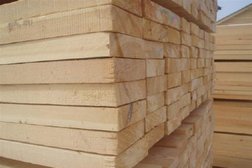 Лес Деревянный, с рейтингом 3.5 - находится по адресу Нижегородская область, Буревестник, Производственная улица, 8 