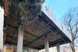 Петров дуб, с рейтингом 4.5 - находится по адресу Республика Адыгея, Майкоп, Пионерская улица, 268 