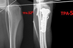 Ветеринарная клиника им. Пирогова, с рейтингом 3.9 - находится по адресу Ставрополь, улица Пирогова, 24/2 