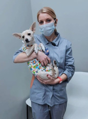 Ветеринарный хирург Ирина Сергеевна Матвеева