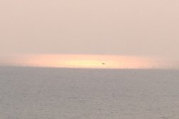 Салон массажа ПРОФИ АУРА, с рейтингом 3.3 - находится по адресу Ярославль, улица Свободы, 34Б 