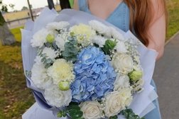 Салон цветов Fleur31, с рейтингом 4.6 - находится по адресу Белгородская область, пос. Дубовое, Зелёная, 1п 
