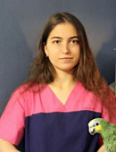 Сидоренко Ангелина Андреевна