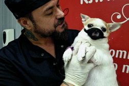 Ветеринарная клиника Айболит, с рейтингом 4.9 - находится по адресу Калуга, Хрустальная улица, 44к2 