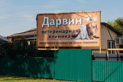 Ветеринарная клиника Дарвин, с рейтингом 3.8 - находится по адресу Ульяновск, Котовского, 22а 