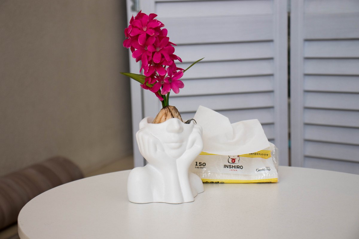 Sabrina-Club, студия растяжки и танцев на Светланской улице во ...