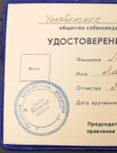 Мирза Лариса Владимировна