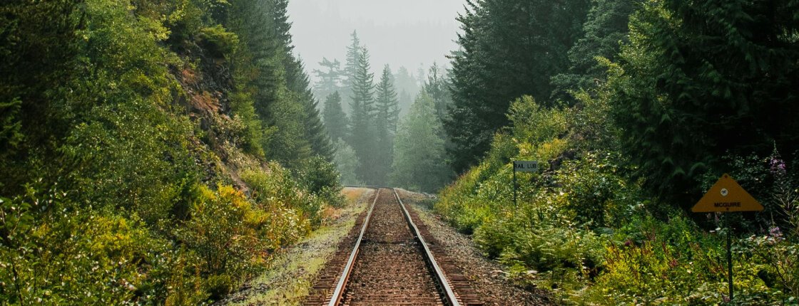 Источник фото: pexels.com