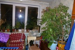 Центр недвижимости Дом, с рейтингом 2.6 - находится по адресу Белгород, проспект Славы, 35 