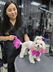 Грумер Лена Робертовна Мирхайдарова