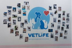 Ветеринарная клиника Vetlife, с рейтингом 5 - находится по адресу Оренбург, Просторная улица, 13/4 