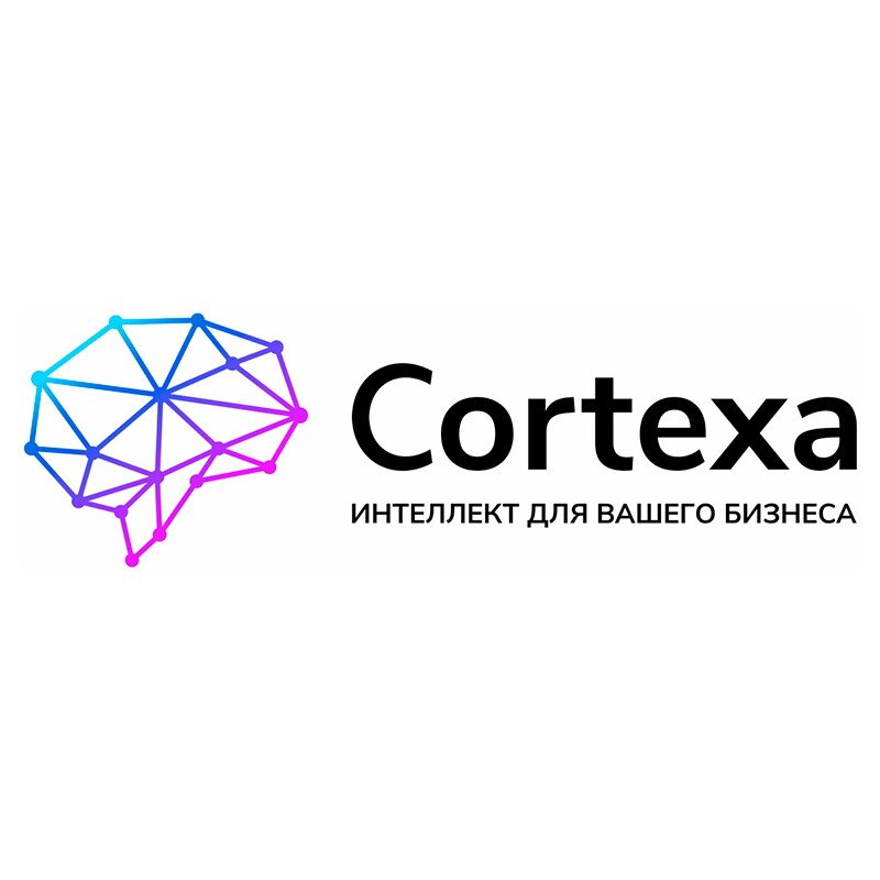 фотография Веб-студии Cortexa-AI