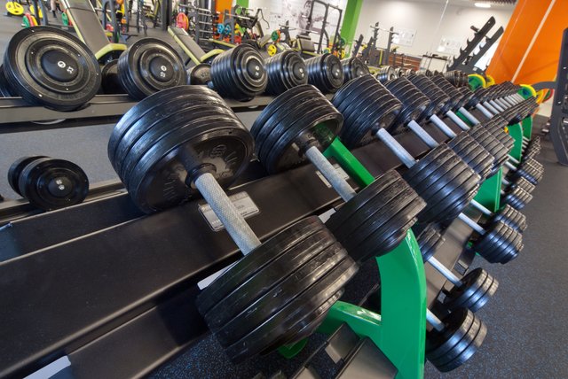 Роль штанги и гантелей в улучшении качества жизни
