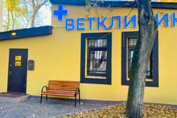 Ветеринарная клиника ЛефортовоВет, с рейтингом 4.9 - находится по адресу Москва, шоссе Энтузиастов, 13с4 