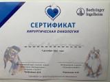 сертификат/документ Ветеринарной клиники Дейли на Российской улице, 55а