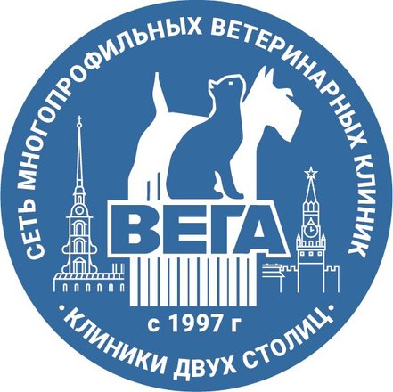 Бесплатная консультация ветеринара — лечение кошек | Ветеринарная клиника МегаВет - Челябинск