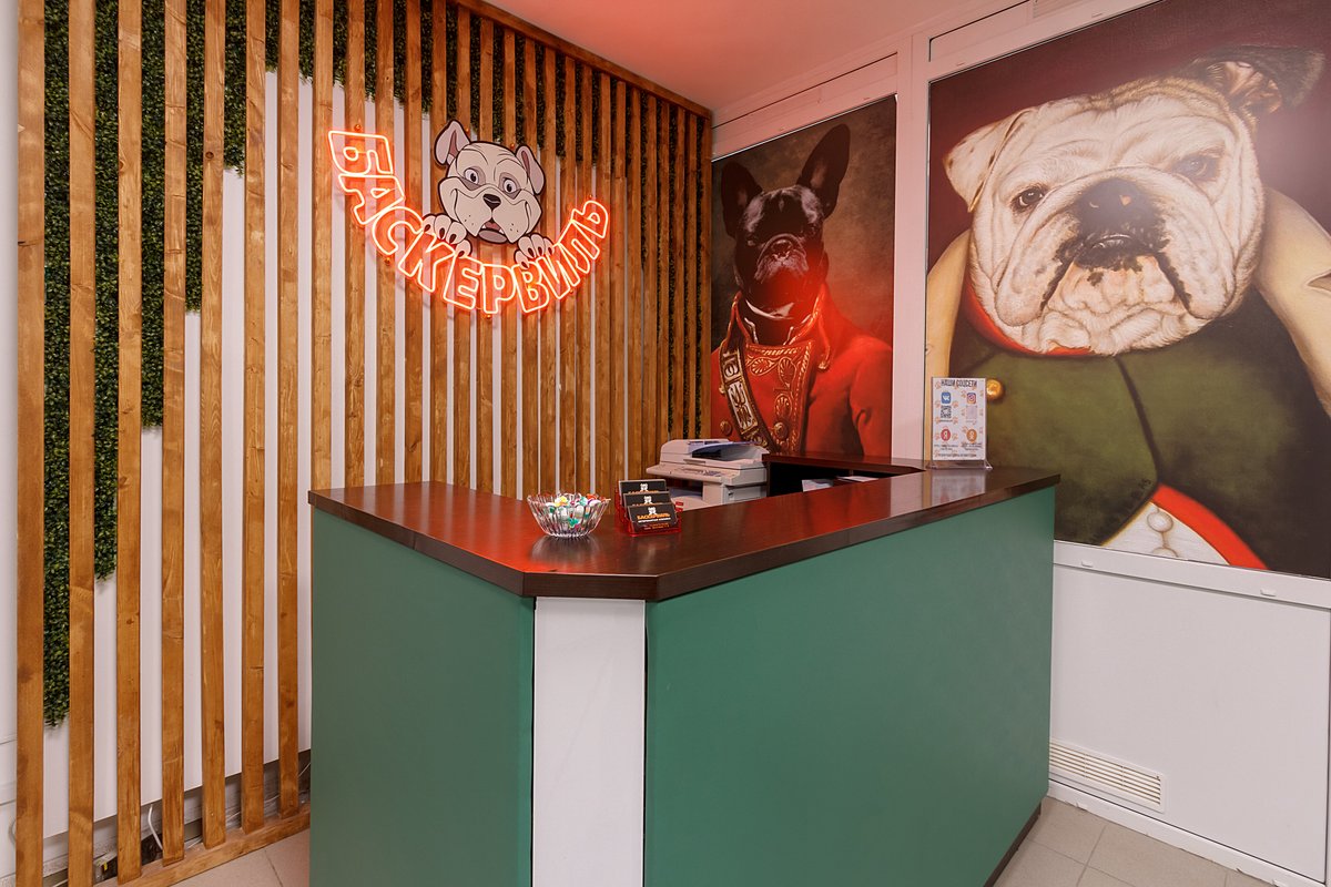 Баскервиль ветклиника. Баскервиль ветклиника. Ветклиника ессентуки. Вет глобал зарайская. Баскервиль ветклиника.