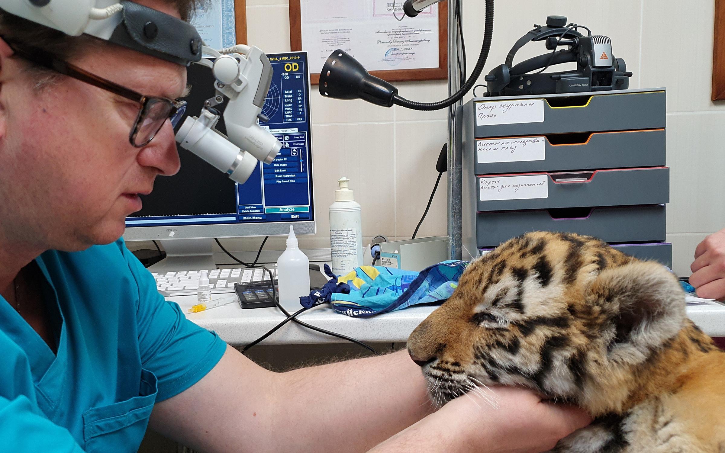 Ветеринарная клиника Центр ветеринарной офтальмологии доктора Шилкина А ...
