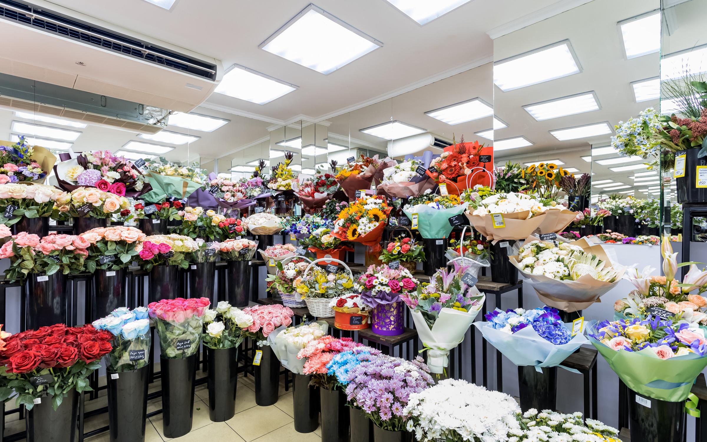 Цветочный магазин на выборгской. Цветочка кутузовский 35. Цветочный магазин в америке. Цветочные магазины славгороде. Магазин город цветов москва.