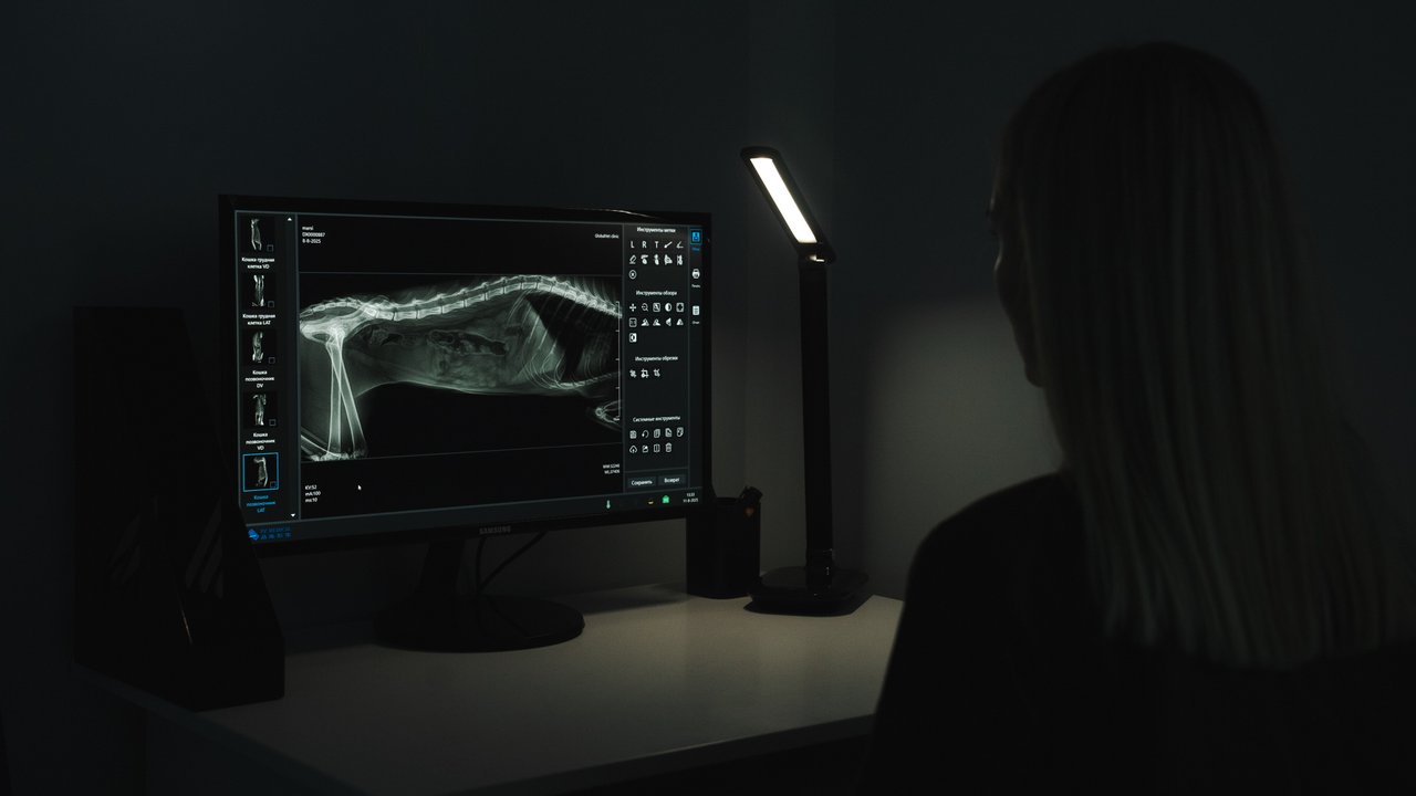 Масвет, ветеринарная клиника — Москва, цены, отзывы, фото | Pet911