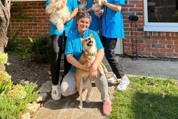 Салон красоты для животных Барбос, с рейтингом 4.8 - находится по адресу Ростов-на-Дону, Ревкомовская, 37 