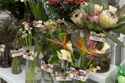 Городская база цветов, с рейтингом 4 - находится по адресу Москва, пос. Коммунарка, улица Александры Монаховой, 109 к1 