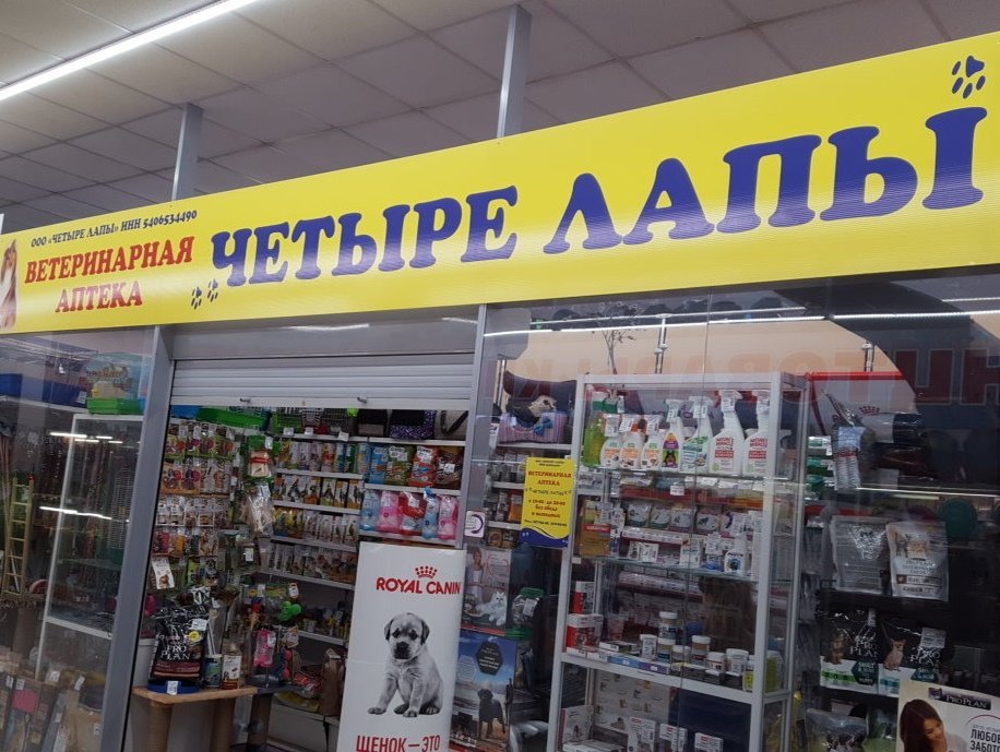 Четыре лапы новосибирск. 4 лапы реклама. Зоомагазин новосибирск. Четыре лапы новосибирск. Зоомагазин новосибирск.