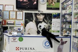 Аксинья