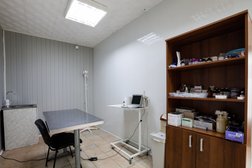 Ветеринарная клиника Мокрый нос, с рейтингом 4.6 - находится по адресу Калужская область, Обнинск, улица Ляшенко, 8Б 