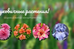 Супермаркет хозяйственных товаров Верес, с рейтингом 3 - находится по адресу Нижегородская область, Богородск, улица Ленина, 374 