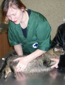 Малашкова Ольга Анатольевна