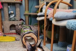 Гостиница для кошек Кот Феликс, с рейтингом 3 - находится по адресу Томск, Онежская улица, 8 