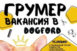 Груминг-салон Dogford, с рейтингом 3.8 - находится по адресу Комсомольск-на-Амуре, Вокзальная улица, 55/2 