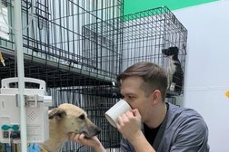 Ветеринарная клиника ВертиХвостик, с рейтингом 3.1 - находится по адресу Омск, улица Дианова, 1в 