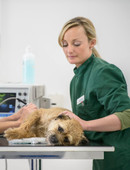 Абрамова Мария Генадьевна