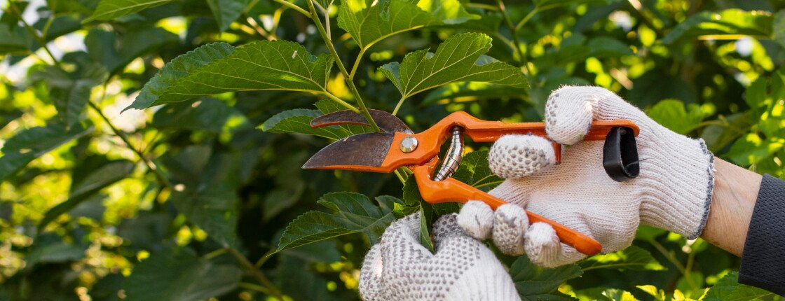 Источник фото: Freepik