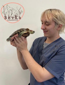 Сарафанов Александр Николаевич