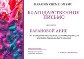 сертификат/документ Студии Анны Романовой