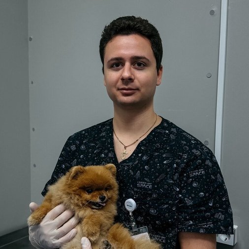 Никита Геннадьевич Кобзев
