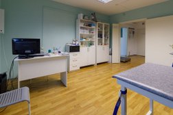 Ветеринарная клиника San Vita, с рейтингом 4 - находится по адресу Красноярск, улица Дмитрия Мартынова, 17 