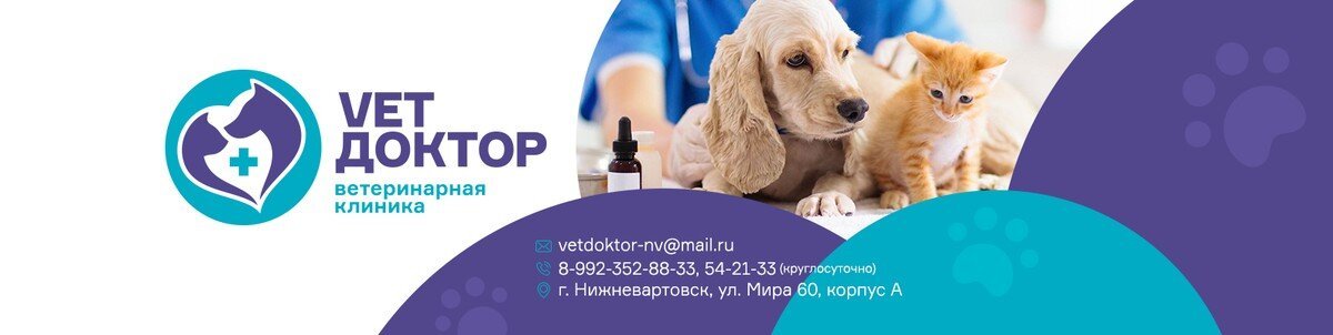 Ветеринарная Клиника Круглосуточная
