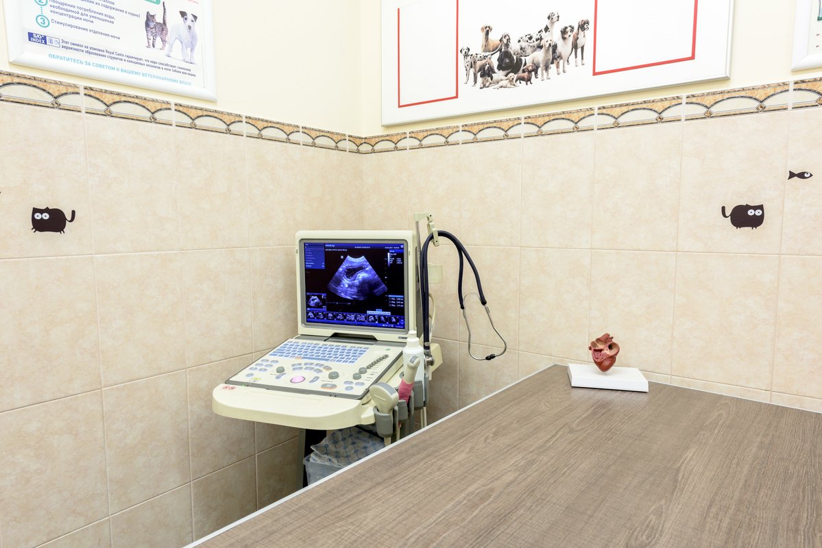 ЛайфВет, ветеринарная клиника на улице Демьяна Бедного в Санкт ...